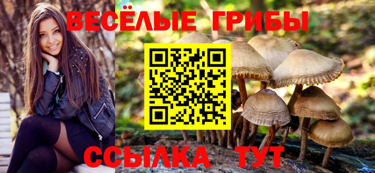 Псилоцибиновые грибы ЛСД Гурьевск