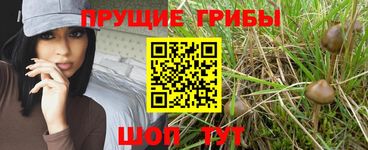 Псилоцибиновые грибы мухоморы  Вход с VPN  Галлюциногенные грибы Cubensis  Гурьевск 